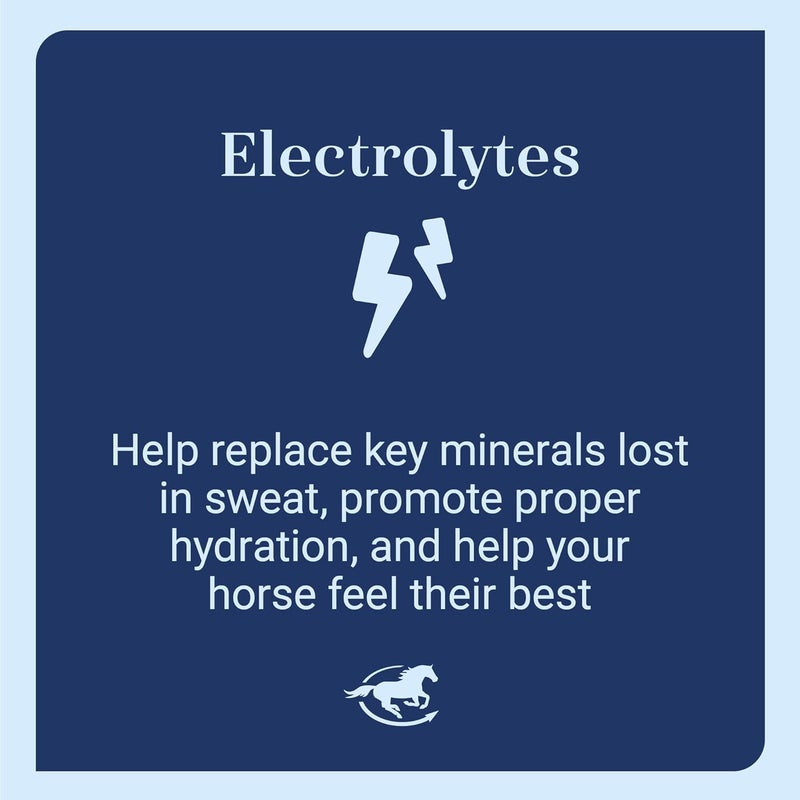 SmartEquine SmartLytes Paste Horse Electrolyte Paste | Encourages Hydration | Replenishes Electrolytes | No Added Sugar | Apple Banana Flavor | Pack of 6 Tubes - Image 5
